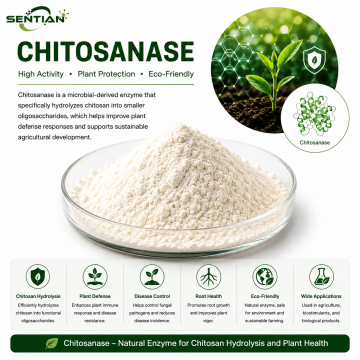 Chitosanase for Chitosan Hydrolysis & Plant Defense