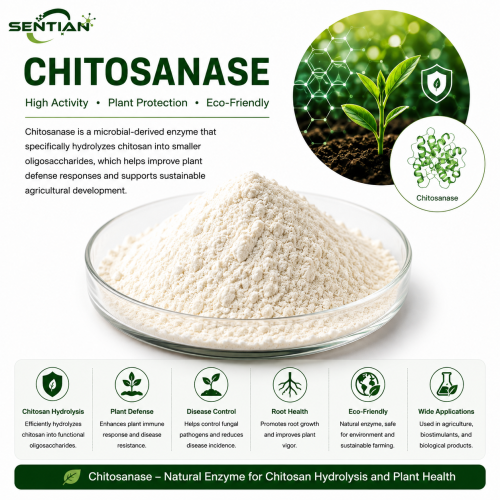 Chitosanase for Chitosan Hydrolysis & Plant Defense