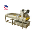 Lotus Root Blanching Washing Machine Lotus Cleaning Machine