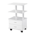 Salon Rolling Trolley Cart Hairdressing