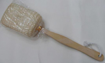 wash brush
