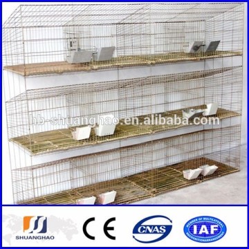 2015 New !!! large rabbit cages(manufactory)