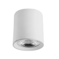 Ceiling Light Fixture with GU10 bulb