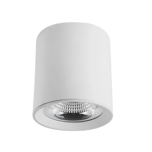 LED cylindrical ceiling light indoor