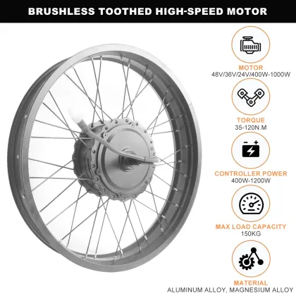 Electric Bike Snow Conversion Kit