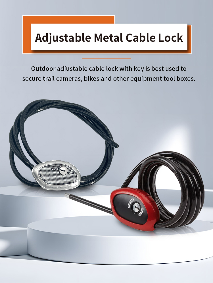 1 long cable lock