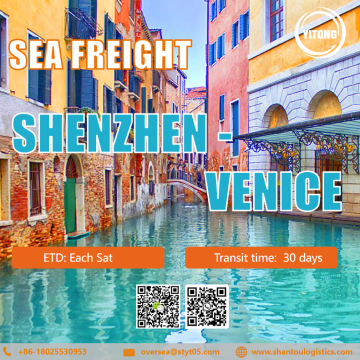 Serviço internacional de frete marítimo de Shenzhen a Veneza