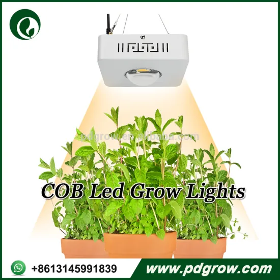 Crees CXB3590 100W COB Led Grow Lights full spectrum 3500K Item151