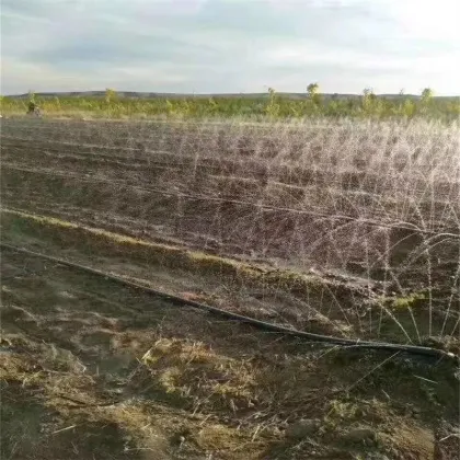 Vegetable seven-hole spray hose