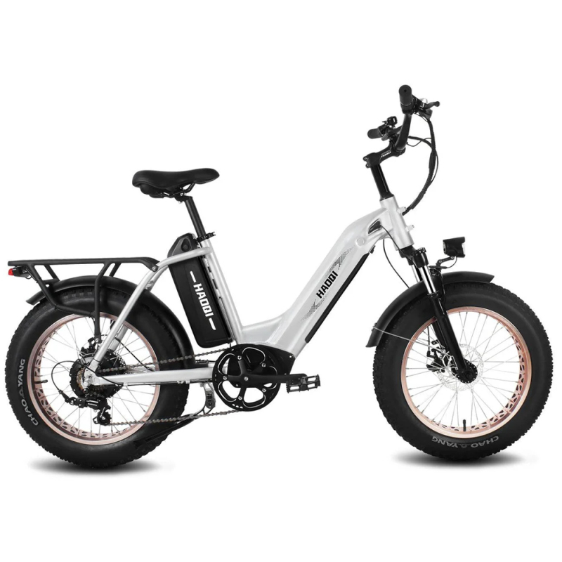 Antelope Pro 48V 25Ah Utility Fat Tire Electric Bike
