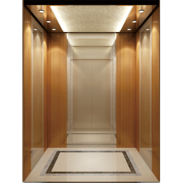 Best-Selling Foshan Simple Quiet Home Elevators for Villas and Houses