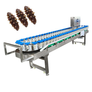 Automatic Fruit and Vegetable Sorter: Sweet Potato, Carrot, Onion, Apple, Garlic, Cucumber, and Orange Size Grading Machine