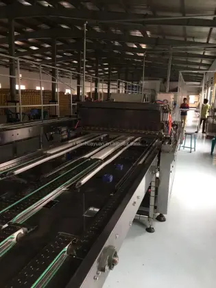 Full Automatic Madeleine Cake Production Line | Jaffa Cake Production Line