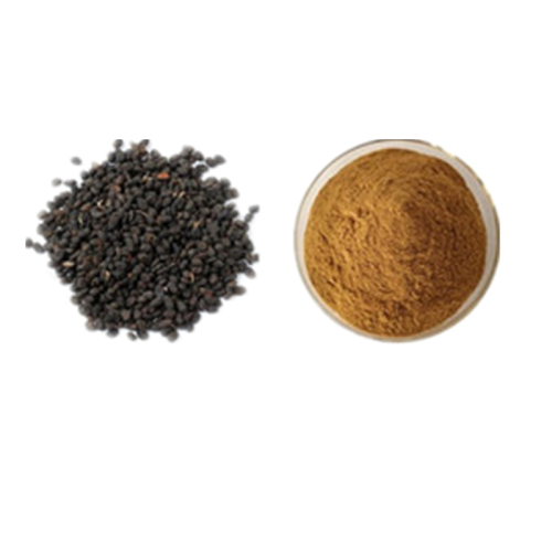 Fructus Psoraleae Extract Psoralen