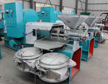 Best Home Sunflower Oil Press for USA