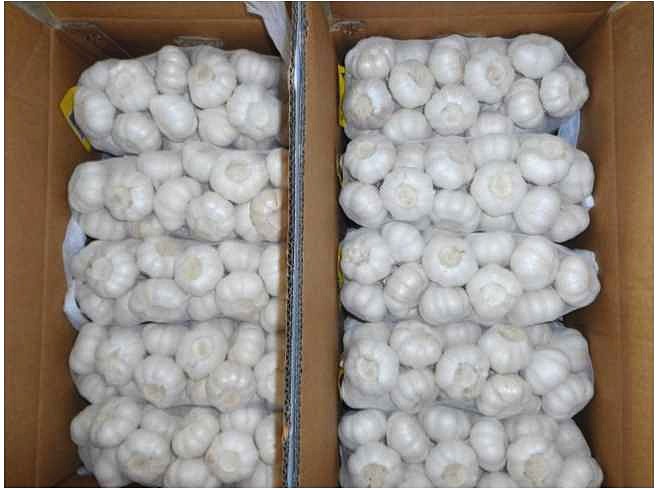 Factory Price Dried Whole Garlic For Export Mesh Bag Carton