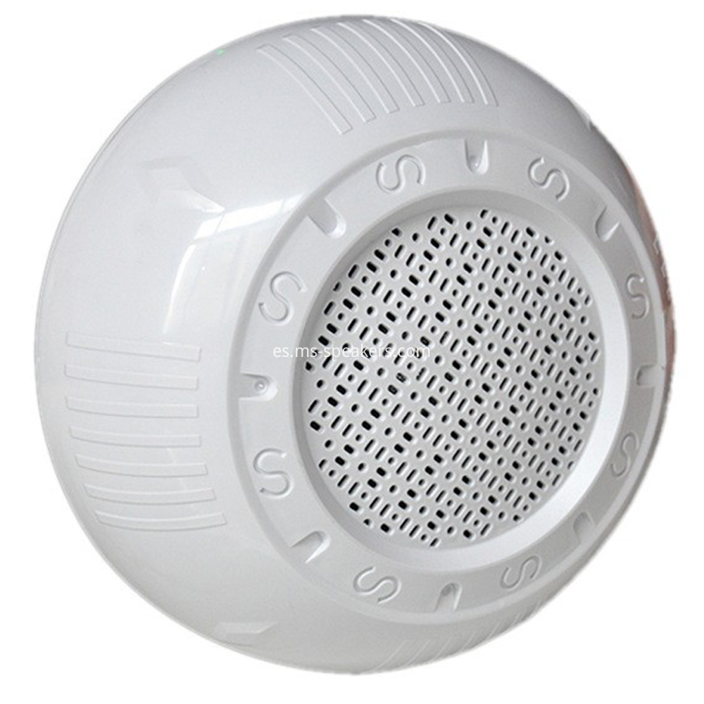 Ceiling Speaker 