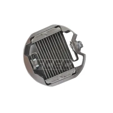Genuine Original ISF3.8 Diesel Engine Parts Preheater 5254980