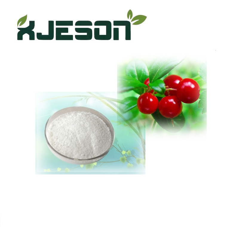 Natural Cosmetic Grade Alpha Arbutin Powder Alpha Arbutine