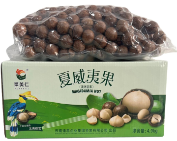 Macadamia Nuts Bulk Carton 4.9kg