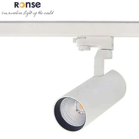 RONSE 30W LED Track Light - Surface Mounted Indoor Spot Swivel Rail Track Lighting 230V
