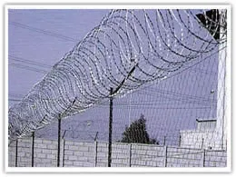 razor wire flatwrap coils