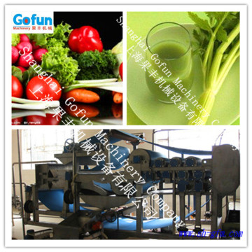 the professional supplier for fruit.vegetable juice extractor