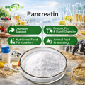 Bulk Pancreatin with Stable Enzyme Activity for B2B Supply
