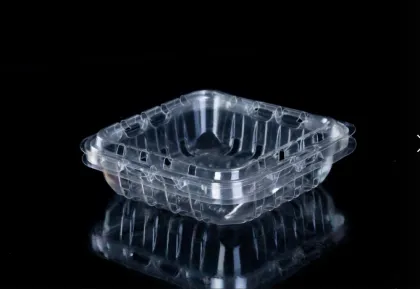 Disposable Packaging Fruit/Blueberries Container
