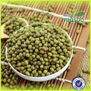 New crop different types dried beans /mung bean products hot sale