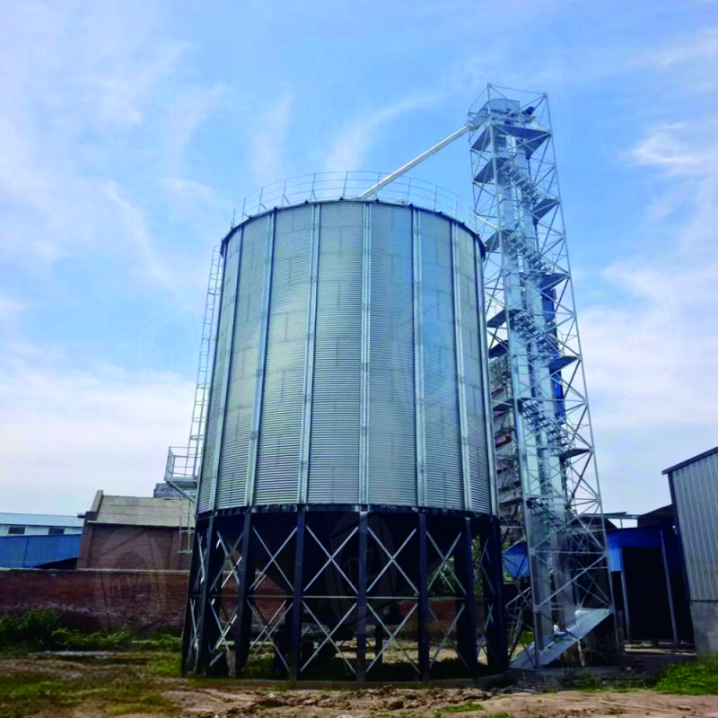 Grain Logistics Transit Silos