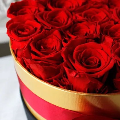 Wholesale Preserved Flower Dome - Eternity Roses in Box