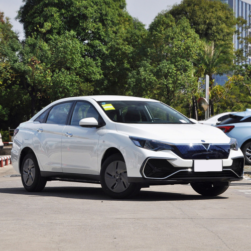 Dongfeng Nissan Venucia D60EV 2023 Plus