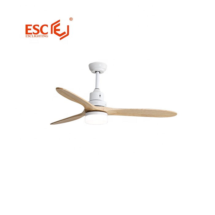 Stylish Europenan simple ceiling fan with light