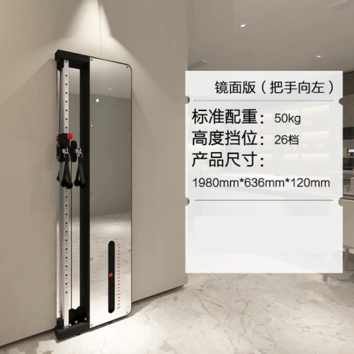 China Treinador funcional montado na parede lateral único espelho branco  Fabricantes