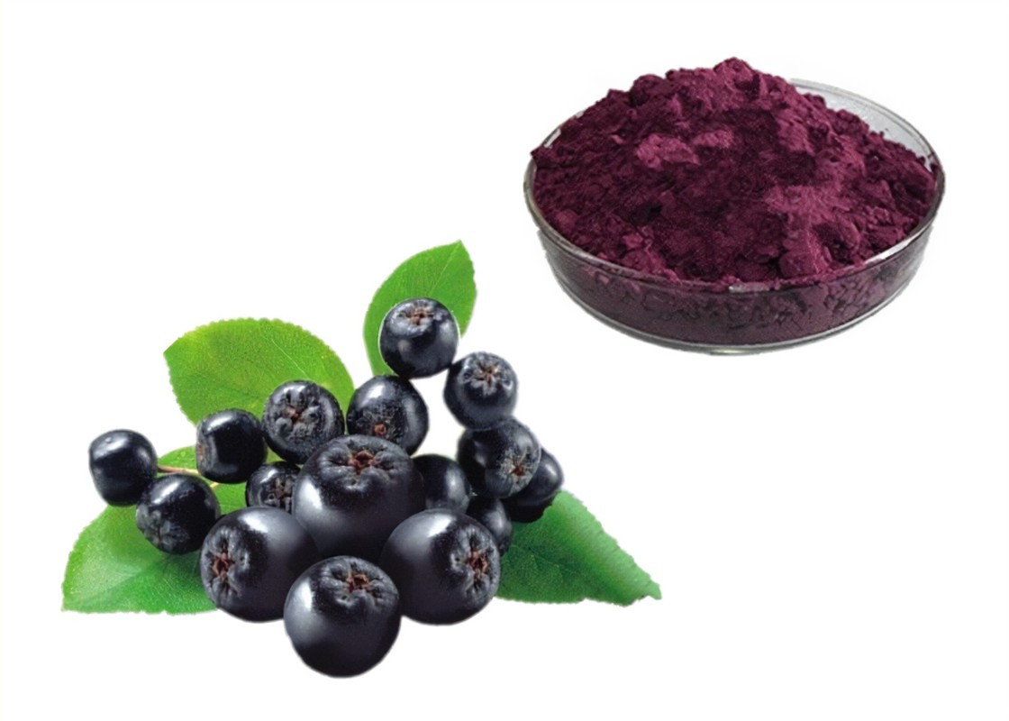 Natural Aronia Berry Extract Powder