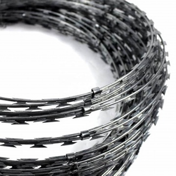 Hot Dipped Galvanized CBT65 BTO30 BTO-22 Roll Concertina Double Strand Razor Blade Barbed Wire