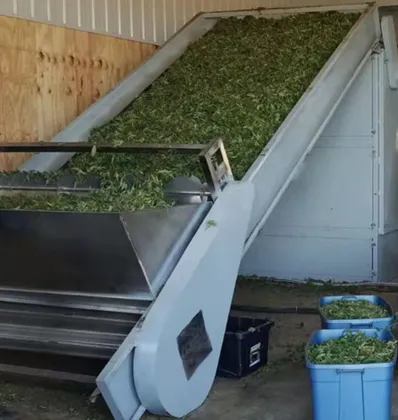Herb Hemp Drying Machine