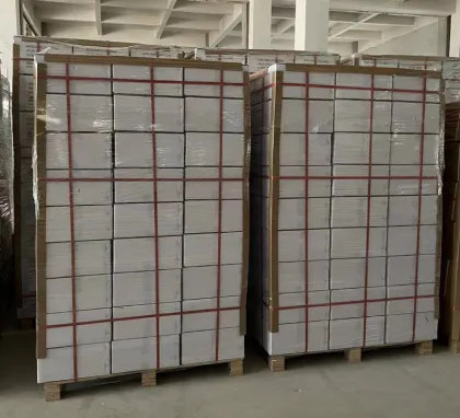 21" Square Style Vitreous China Undercounter Basin with CUPC Certification