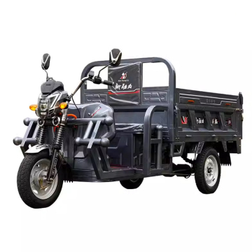 2024 CE Certified Cheap Adult Cargo Tricycles with 3-Wheel Electric Option