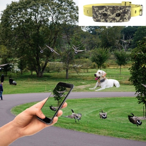 Dog GPS Collar Dog GPS Locator 3G WCDMA