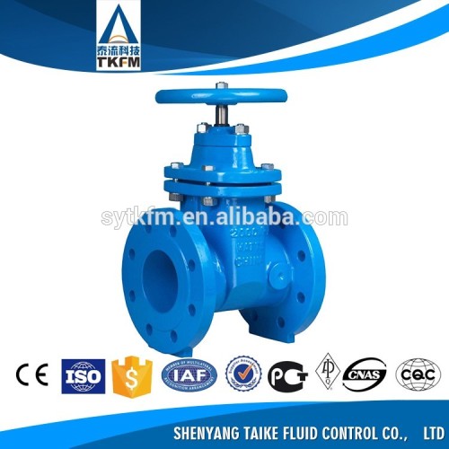 Best sale 4 inch automa double disk gate valve thermostat valve with ce certificate