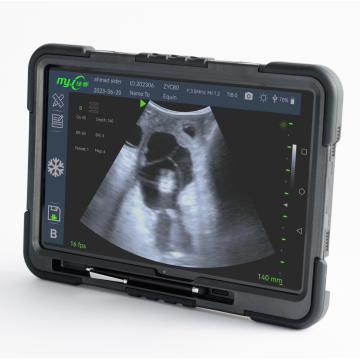 Fast Scan C sheep ultrasound scanner
