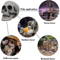 Skeleton Skull for Halloween Decor