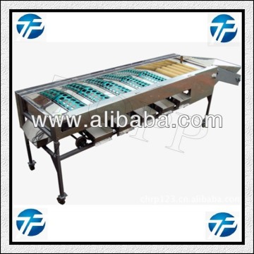 Fruit Washing and Sorting Machine