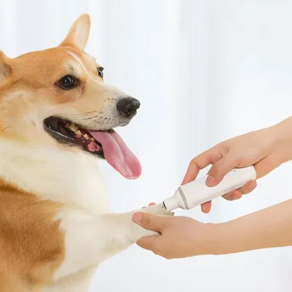 Portable Mini Electric USB Pet Nail Polisher