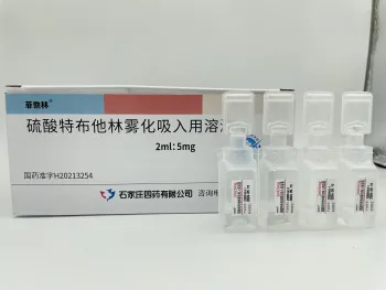 Terbutaline Sulphate Injection Respiratory Tract Disease