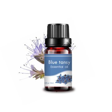 OEM ODM cosmetic grade best price blue tansy oil diffuser