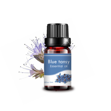 OEM ODM Grade cosmétique au meilleur prix Blue Tansy Oil Diffuseur