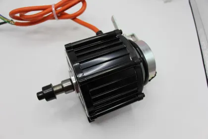 Monsoon-Proof IP54 Waterproof BLDC Motor